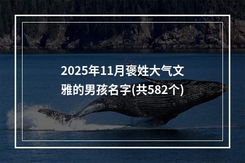2025年11月褒姓大气文雅的男孩名字(共582个)