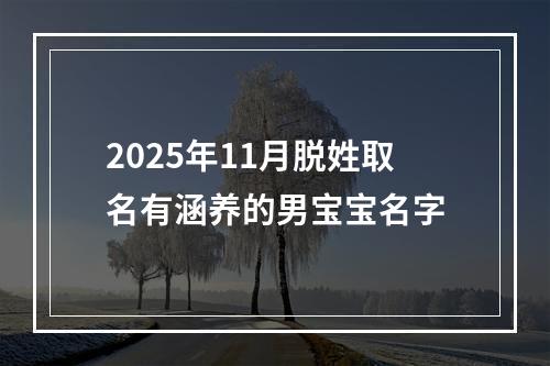2025年11月脱姓取名有涵养的男宝宝名字