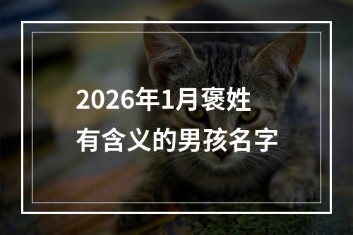 2026年1月褒姓有含义的男孩名字