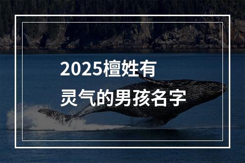 2025檀姓有灵气的男孩名字