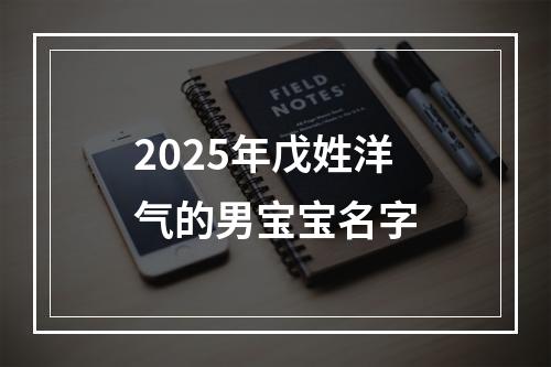 2025年戊姓洋气的男宝宝名字