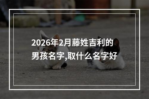 2026年2月藤姓吉利的男孩名字,取什么名字好
