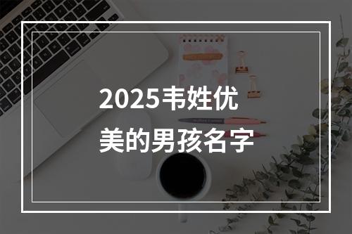 2025韦姓优美的男孩名字