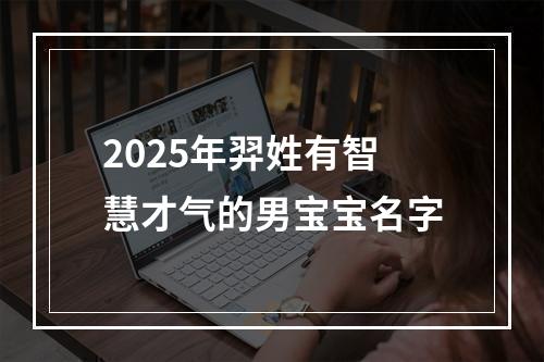 2025年羿姓有智慧才气的男宝宝名字