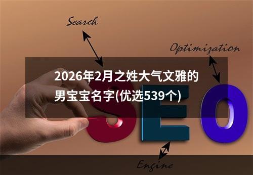 2026年2月之姓大气文雅的男宝宝名字(优选539个)