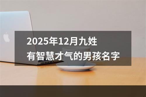 2025年12月九姓有智慧才气的男孩名字