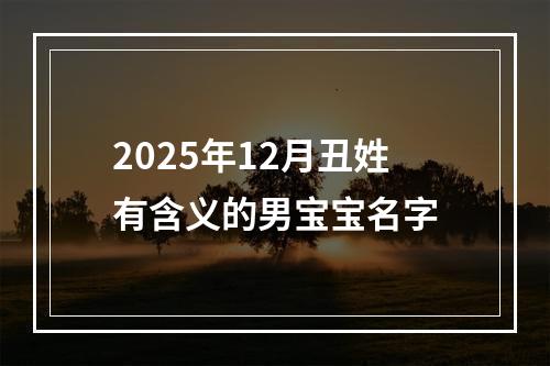 2025年12月丑姓有含义的男宝宝名字