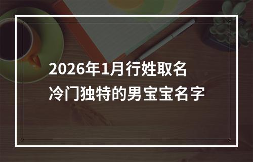 2026年1月行姓取名冷门独特的男宝宝名字