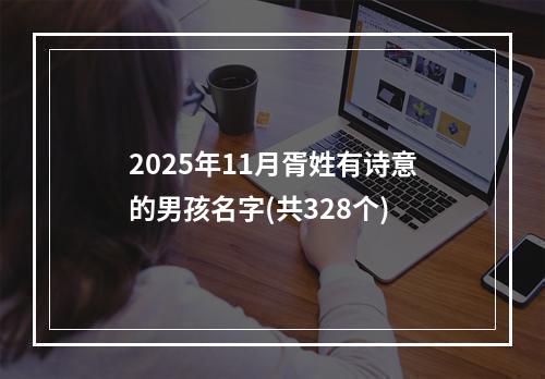 2025年11月胥姓有诗意的男孩名字(共328个)