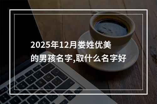 2025年12月娄姓优美的男孩名字,取什么名字好