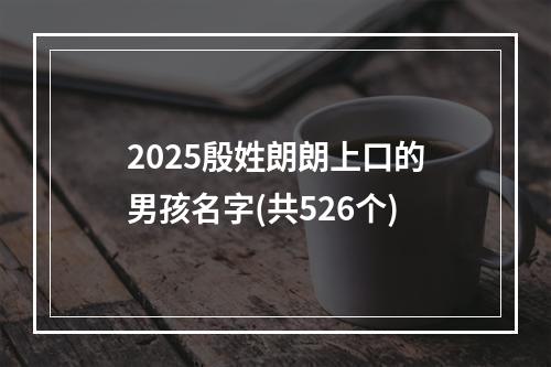 2025殷姓朗朗上口的男孩名字(共526个)