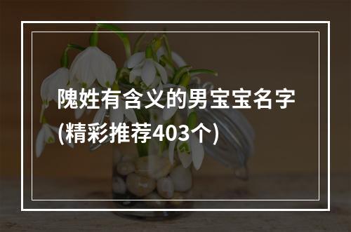 隗姓有含义的男宝宝名字(精彩推荐403个)