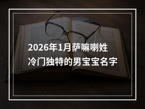 2026年1月萨嘛喇姓冷门独特的男宝宝名字