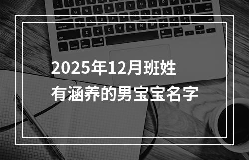 2025年12月班姓有涵养的男宝宝名字