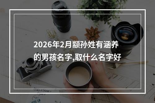 2026年2月颛孙姓有涵养的男孩名字,取什么名字好