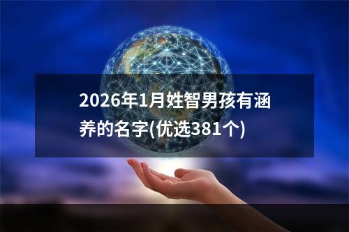 2026年1月姓智男孩有涵养的名字(优选381个)