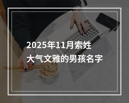 2025年11月索姓大气文雅的男孩名字