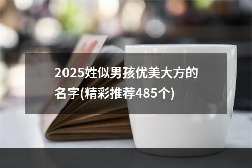 2025姓似男孩优美大方的名字(精彩推荐485个)