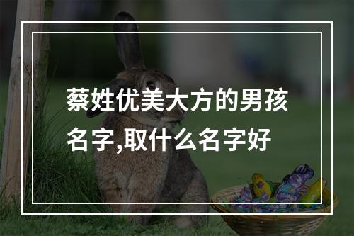 蔡姓优美大方的男孩名字,取什么名字好