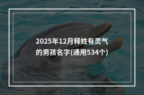 2025年12月释姓有灵气的男孩名字(通用534个)
