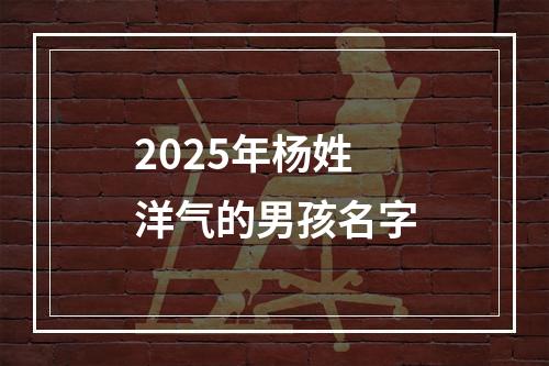2025年杨姓洋气的男孩名字
