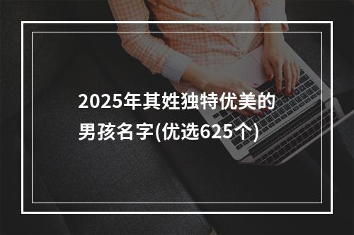 2025年其姓独特优美的男孩名字(优选625个)
