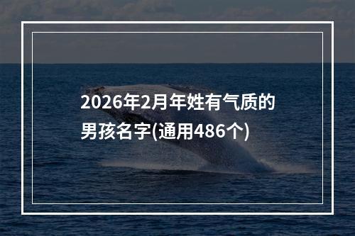 2026年2月年姓有气质的男孩名字(通用486个)