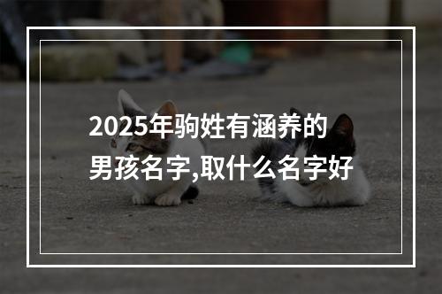 2025年驹姓有涵养的男孩名字,取什么名字好