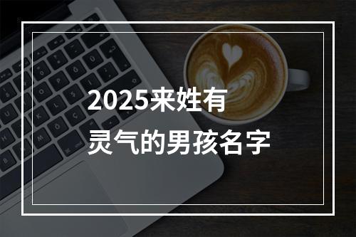 2025来姓有灵气的男孩名字