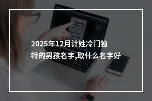 2025年12月计姓冷门独特的男孩名字,取什么名字好