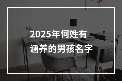 2025年何姓有涵养的男孩名字