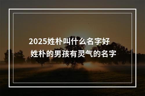 2025姓朴叫什么名字好 姓朴的男孩有灵气的名字