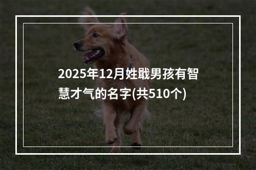 2025年12月姓戢男孩有智慧才气的名字(共510个)