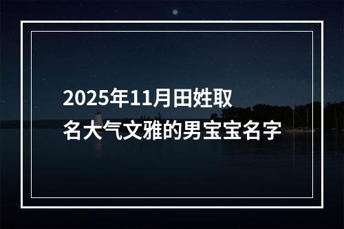 2025年11月田姓取名大气文雅的男宝宝名字