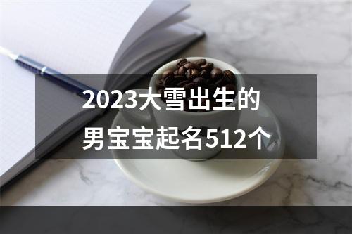 2023大雪出生的男宝宝起名512个