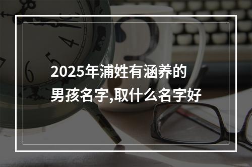 2025年浦姓有涵养的男孩名字,取什么名字好