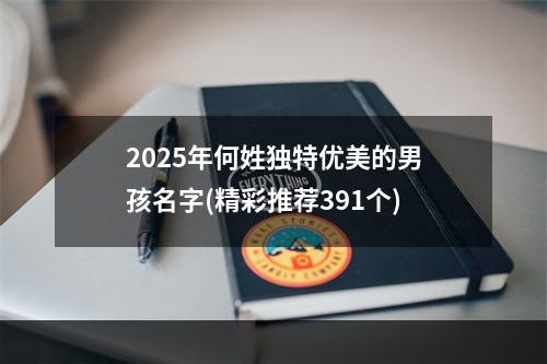 2025年何姓独特优美的男孩名字(精彩推荐391个)
