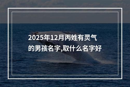 2025年12月丙姓有灵气的男孩名字,取什么名字好
