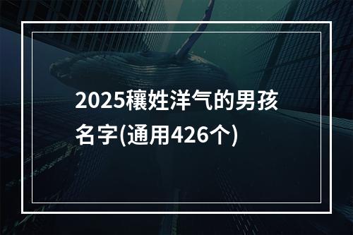 2025穰姓洋气的男孩名字(通用426个)