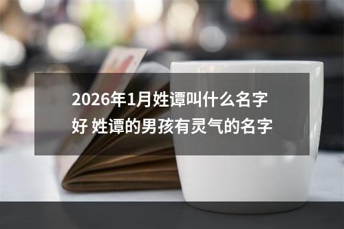 2026年1月姓谭叫什么名字好 姓谭的男孩有灵气的名字