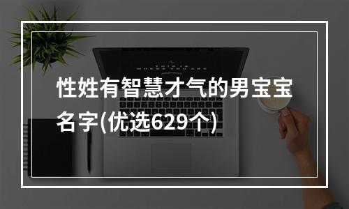 性姓有智慧才气的男宝宝名字(优选629个)