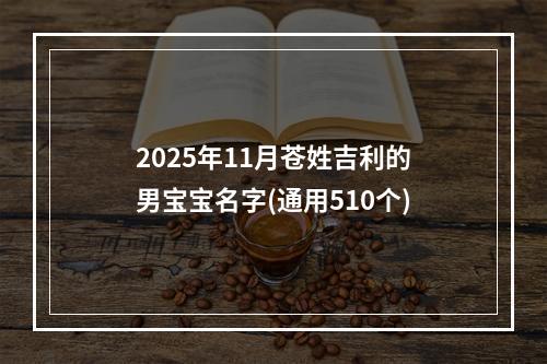 2025年11月苍姓吉利的男宝宝名字(通用510个)