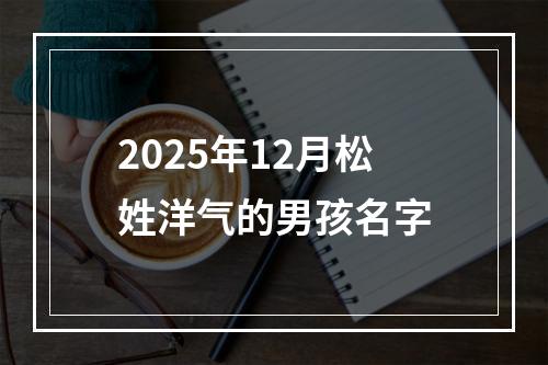 2025年12月松姓洋气的男孩名字