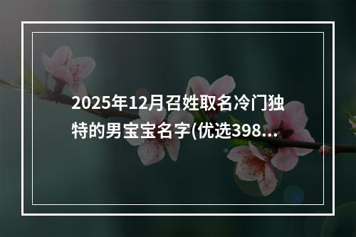 2025年12月召姓取名冷门独特的男宝宝名字(优选398个)