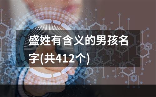 盛姓有含义的男孩名字(共412个)