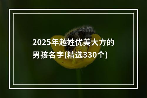 2025年越姓优美大方的男孩名字(精选330个)