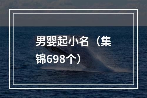 男婴起小名（集锦698个）
