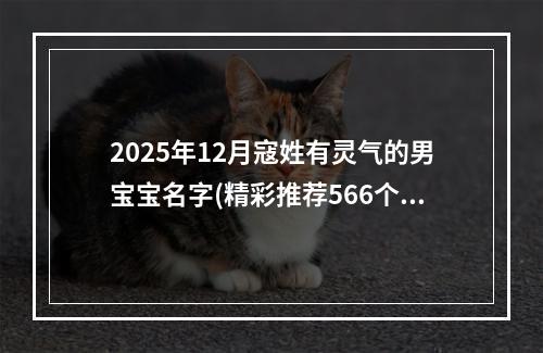 2025年12月寇姓有灵气的男宝宝名字(精彩推荐566个)
