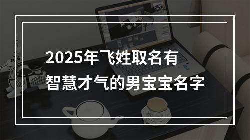 2025年飞姓取名有智慧才气的男宝宝名字