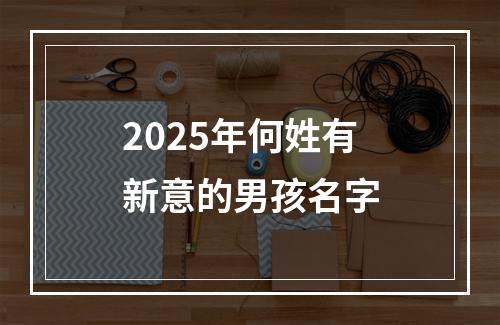 2025年何姓有新意的男孩名字